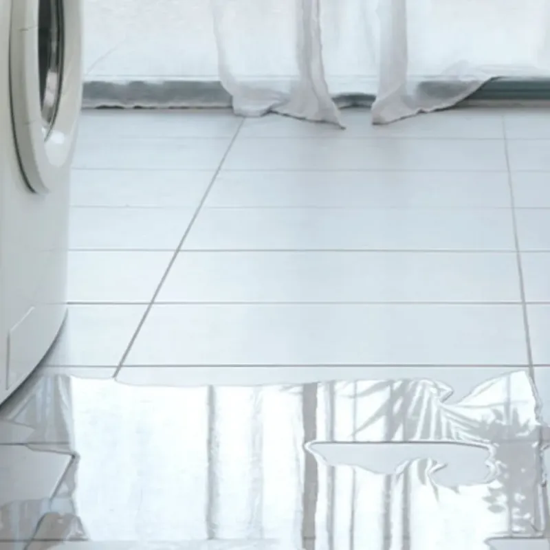 Appliance Leak Cleanup in Mount Pleasant, TN