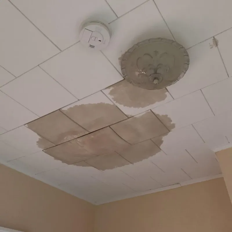 Ceiling Water Damage Repair in Mount Pleasant, TN