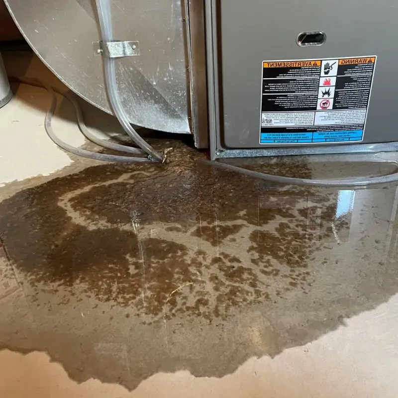 Pipe Burst and Leak Restoration in Mount Pleasant, TN