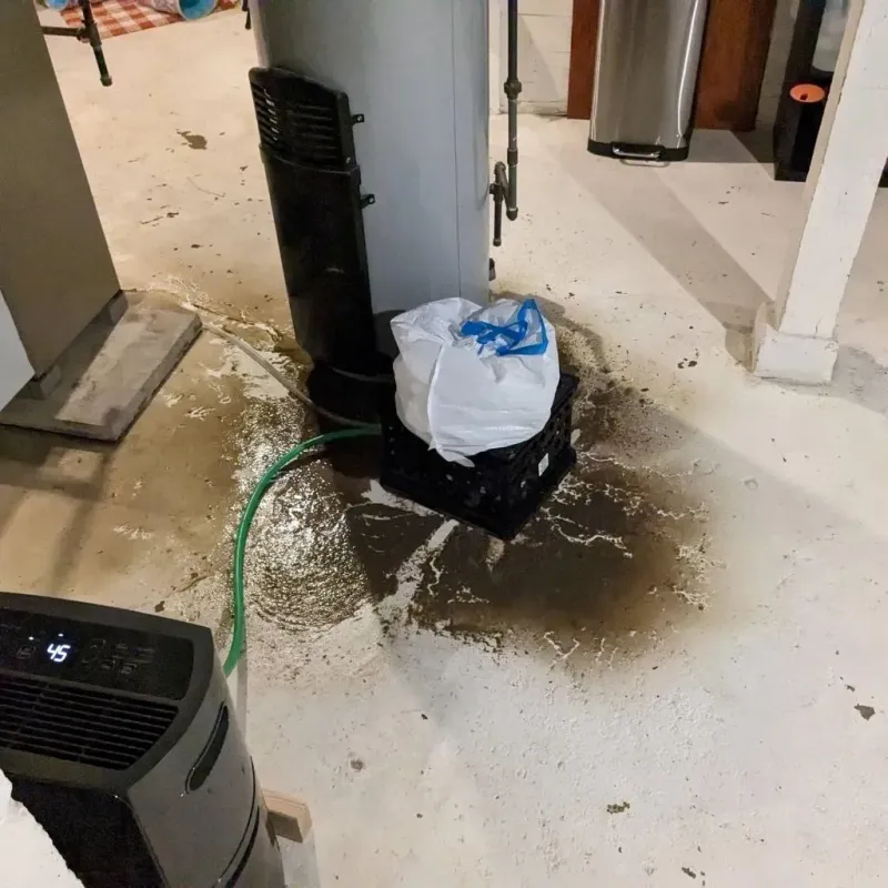 Sewage Backup Cleanup Service in Mount Pleasant, TN